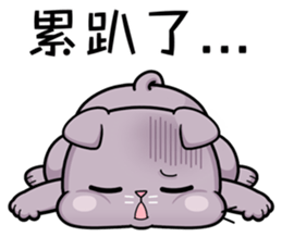 17234279