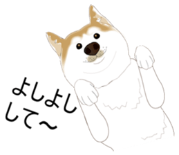 17236678