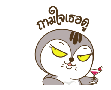 เหมียวกวิ้น รูปที่ 7