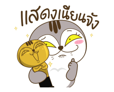 เหมียวกวิ้น รูปที่ 12