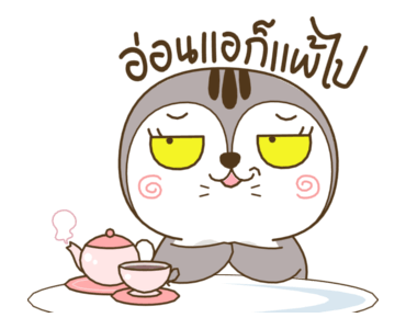 เหมียวกวิ้น รูปที่ 17