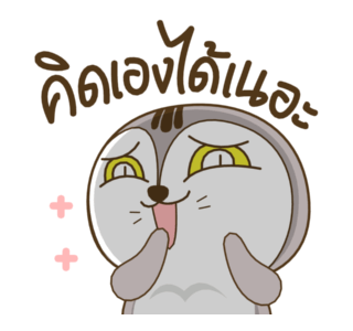 เหมียวกวิ้น รูปที่ 19