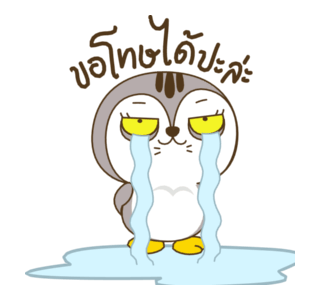 เหมียวกวิ้น รูปที่ 23