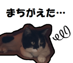 17248516