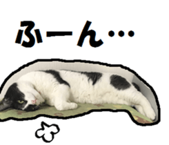17248524