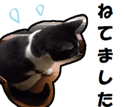 17248528