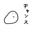 17249204