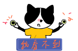 172517241