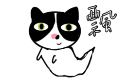 172517244