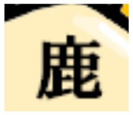 172535050