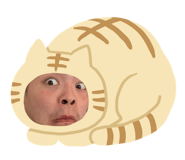 172582343