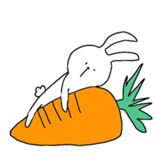 172681