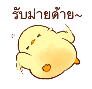 ลูกเจี๊ยบนุ่มนิ่ม ดุ๊กดิ๊ก รูปที่ 14