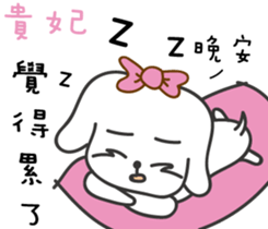 172704694