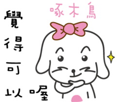 172736300