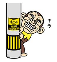 172862757