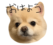 172876398