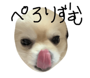 172876404