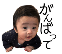 172905025