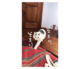 172909277