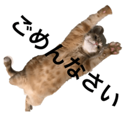 172913671