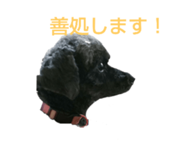172916637