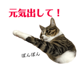 172928121