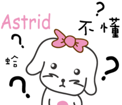 172944304