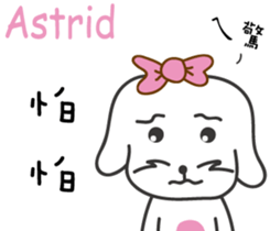 172944341