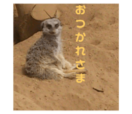172969846