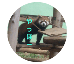 172969849