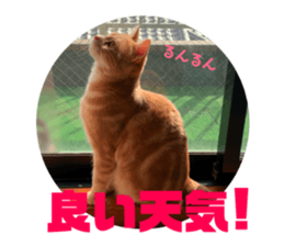 172987440
