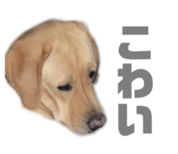173001922