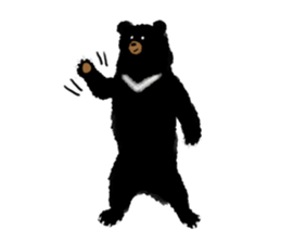 173007