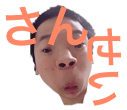 173012878