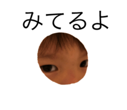 173015981