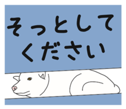 173036140