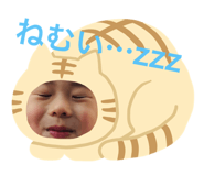 173041896