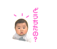 173041905