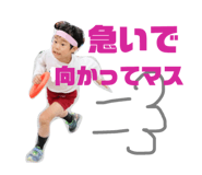 173041909