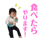 173041912