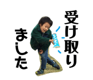 173041915