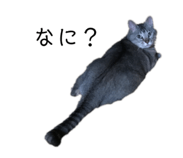 173046432