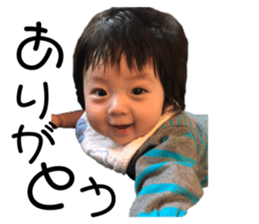 173051545