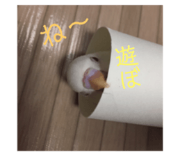 173071640