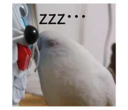 173071641