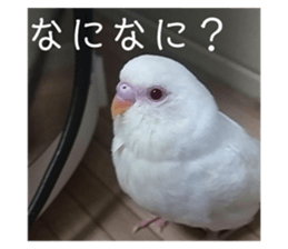 173071643