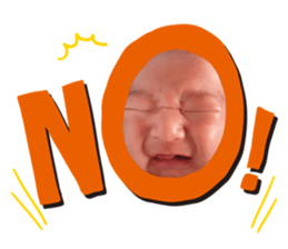 173091649
