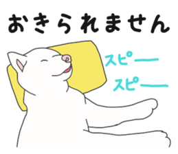 173266887