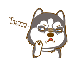 17328996
